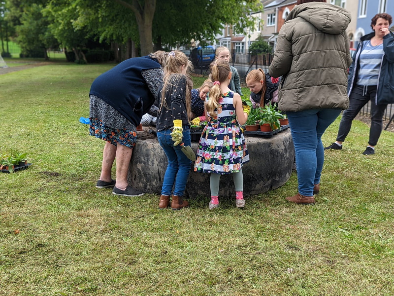 multigenerationplanting